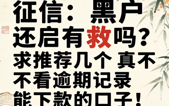 征信黑户还有救吗？求推荐几个真不看逾期记录能下款的口子！