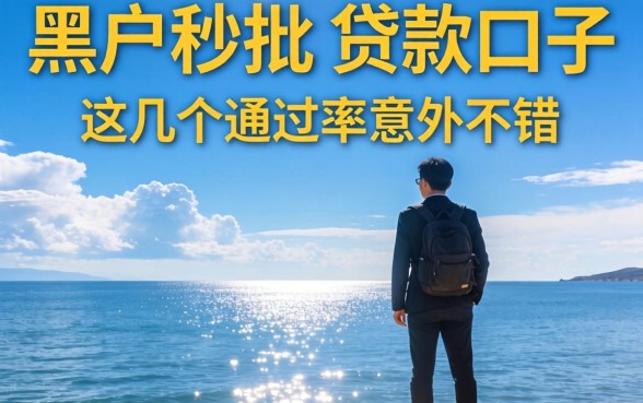 揭秘黑户秒批的贷款口子，这几个通过率意外不错