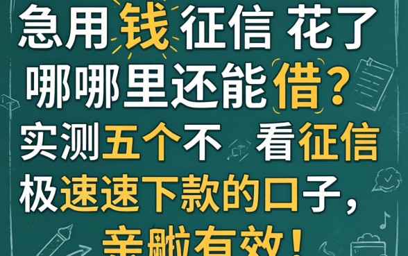 急用钱征信花了哪里还能借？实测五个不看征信极速下款的口子，亲测有效！