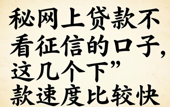 揭秘网上贷款不看征信的口子，这几个下款速度比较快