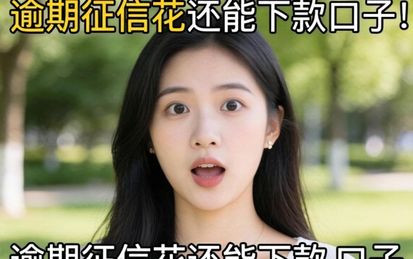 我试了那些号称逾期征信花还能下款的口子，结果有点意外