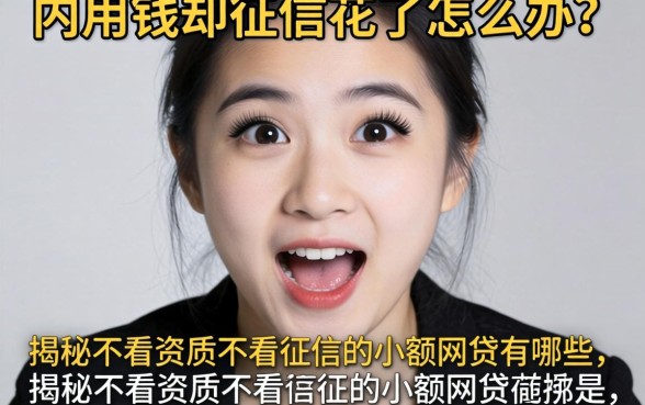 急用钱却征信花了怎么办？揭秘不看资质不看征信的小额网贷有哪些，这五个平台或许能救急