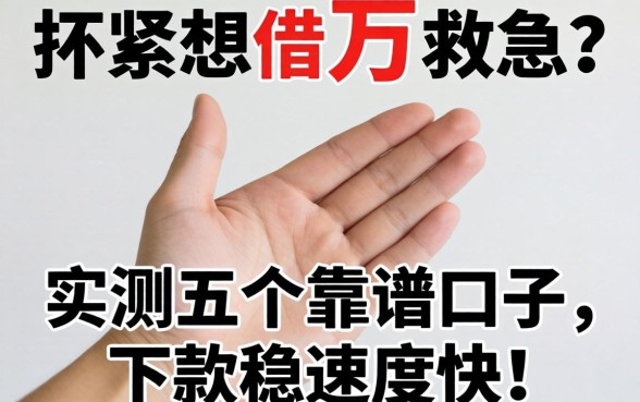 手头紧想借1万救急？实测五个靠谱口子，下款稳速度快！