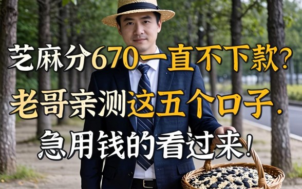 芝麻分670一直不下款？老哥亲测这五个口子，急用钱的看过来！