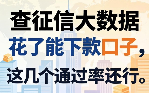 揭秘2026不查征信大数据花了能下款的口子,这几个通过率还行