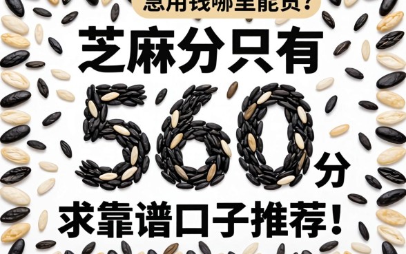 芝麻分只有560分，急用钱哪里能贷？求靠谱口子推荐！