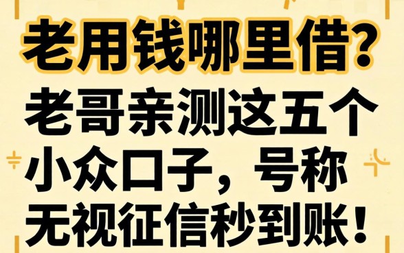 急用钱哪里借？老哥亲测这五个小众口子，号称无视征信秒到账！