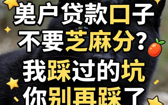 黑户贷款口子不要芝麻分？我踩过的坑你别再踩了
