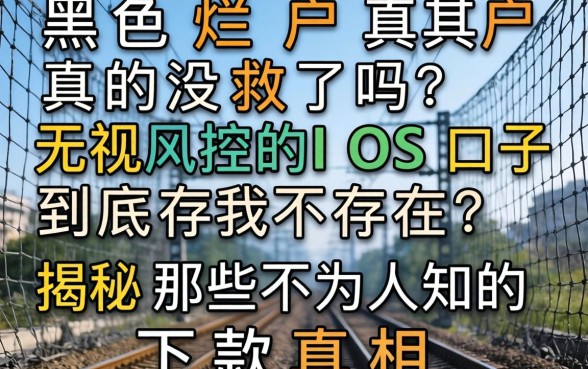 网黑烂户真的没救了吗？无视风控的IOS口子到底存不存在？揭秘那些不为人知的下款真相