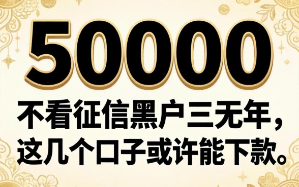揭秘50000不看征信黑户三无2026年,这几个口子或许能下款