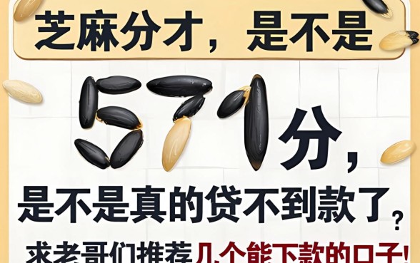 芝麻分才571分,是不是真的贷不到款了?求老哥们推荐几个能下款的口子!