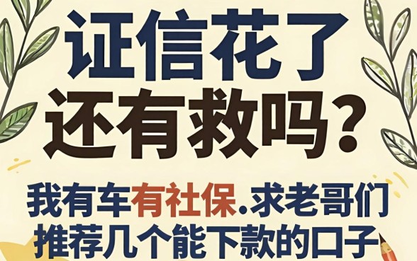 征信花了还有救吗？我有车有社保，求老哥们推荐几个能下款的口子！