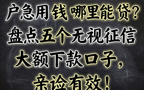 黑户急用钱哪里能贷？盘点五个无视征信大额下款口子，亲测有效！