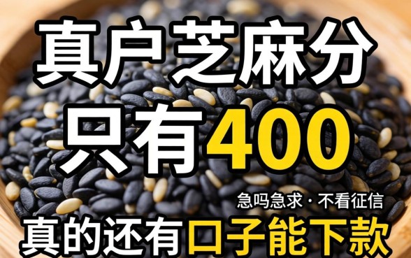 黑户芝麻分只有400,真的还有口子能下款吗?急求不看征信的路子!