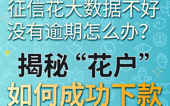 征信花大数据不好没有逾期怎么办？揭秘“花户”如何成功下款的实用攻略