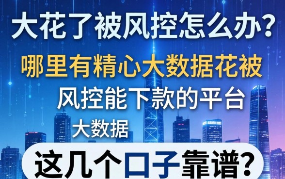 大数据花了被风控怎么办？哪里有精心大数据花被风控能下款的平台？这几个口子靠谱吗？