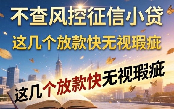 揭秘不查风控征信小贷：这几个放款快无视瑕疵