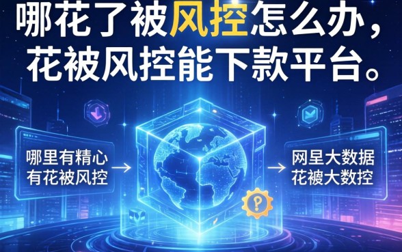 大数据花了被风控怎么办？哪里有精心大数据花被风控能下款的平台？这几个口子靠谱吗？