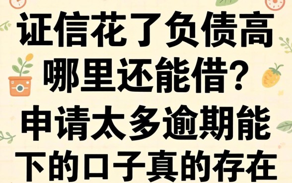 征信花了负债高哪里还能借？申请太多逾期能下的口子真的存在吗？