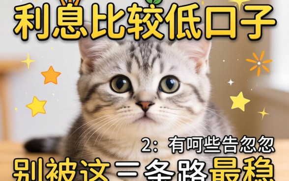 贷款利息比较低的口子有哪些?别被广告忽悠,这三条路最稳