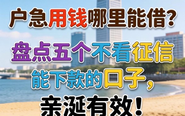 黑户急用钱哪里能借？盘点五个不看征信能下款的口子，亲测有效！