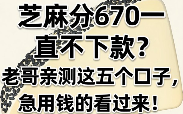 芝麻分670一直不下款？老哥亲测这五个口子，急用钱的看过来！