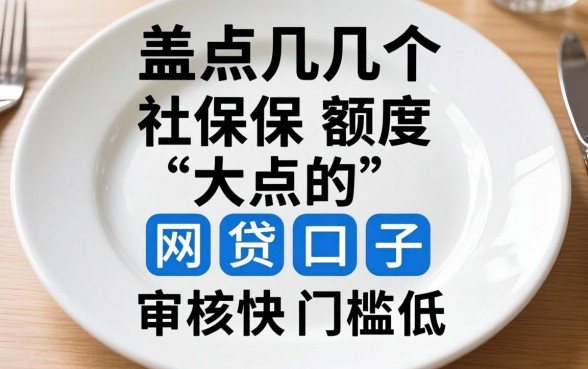 盘点几个社保额度大点的网贷口子，审核快门槛低