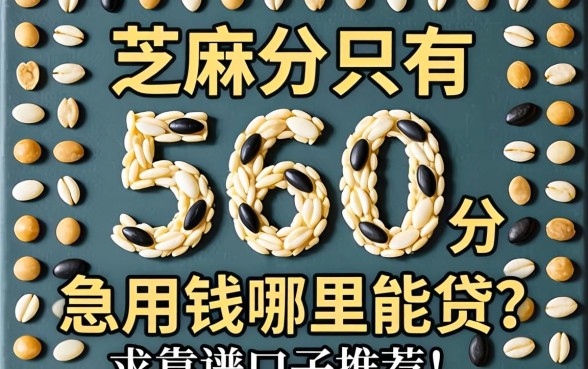 芝麻分只有560分，急用钱哪里能贷？求靠谱口子推荐！