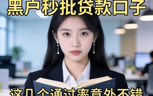 揭秘黑户秒批的贷款口子，这几个通过率意外不错