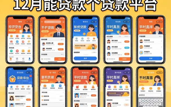 我试了十几个贷款平台,发现12月能贷款的平台和平时真不一样