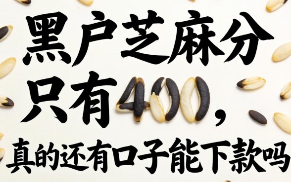 黑户芝麻分只有400,真的还有口子能下款吗?急求不看征信的路子!