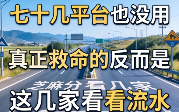 我试了十几个平台，发现芝麻分再高也没用，真正救命的反而是这几家看流水的
