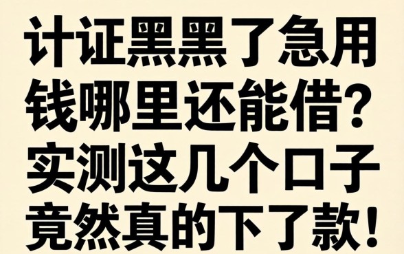 征信黑了急用钱哪里还能借？实测这几个口子竟然真的下了款！