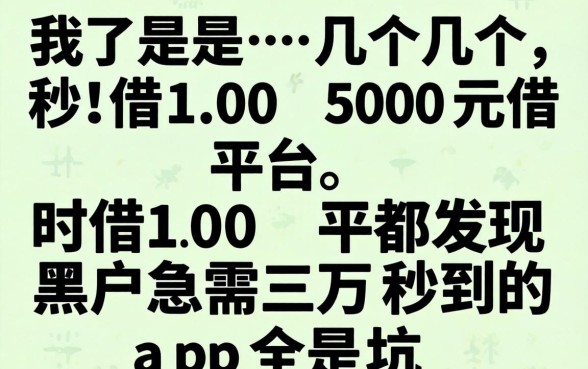 我试了几个秒借100 500元的平台,发现黑户急需三万秒到的app全是坑