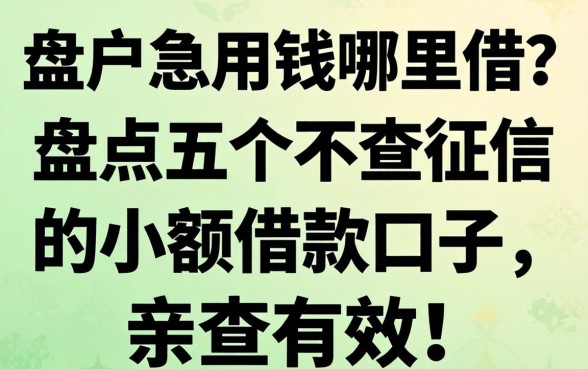 黑户急用钱哪里借？盘点五个不查征信的小额借款口子，亲测有效！
