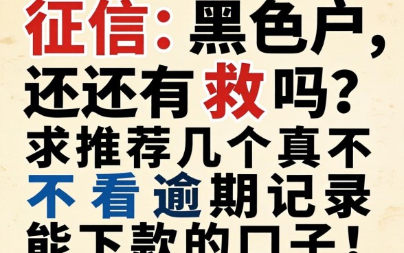 征信黑户还有救吗？求推荐几个真不看逾期记录能下款的口子！