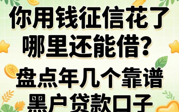 急用钱征信花了哪里还能借？盘点2026年几个靠谱的黑户贷款口子