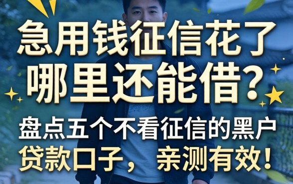 急用钱征信花了哪里还能借？盘点五个不看征信的黑户贷款口子，亲测有效！
