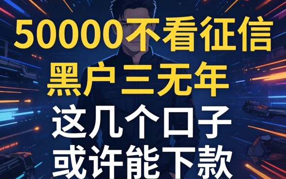 揭秘50000不看征信黑户三无2026年,这几个口子或许能下款