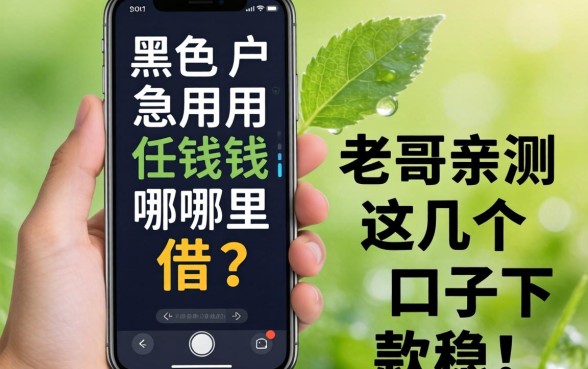 手机黑户急用钱哪里借？老哥亲测这几个口子下款稳！