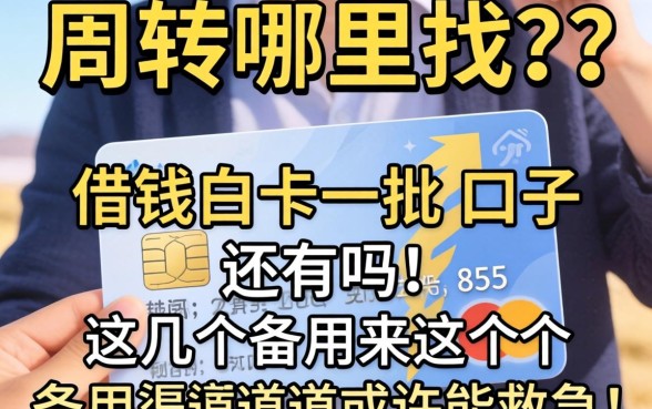 急需周转哪里找?和借钱白卡一批的口子还有吗?这几个备用渠道或许能救急!