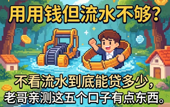 急用钱但流水不够？不看流水到底能贷多少，老哥亲测这五个口子有点东西