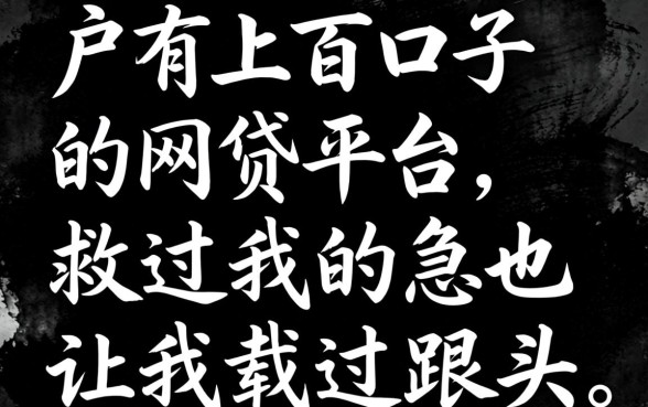 黑户有上百口子的网贷平台,救过我的急也让我栽过跟头