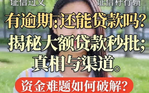 征信有逾期还能贷款吗？揭秘大额贷款秒批的真相与渠道，资金难题如何破解？