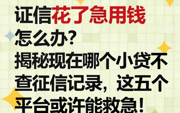 征信花了急用钱怎么办？揭秘现在哪个小贷不查征信记录，这五个平台或许能救急！