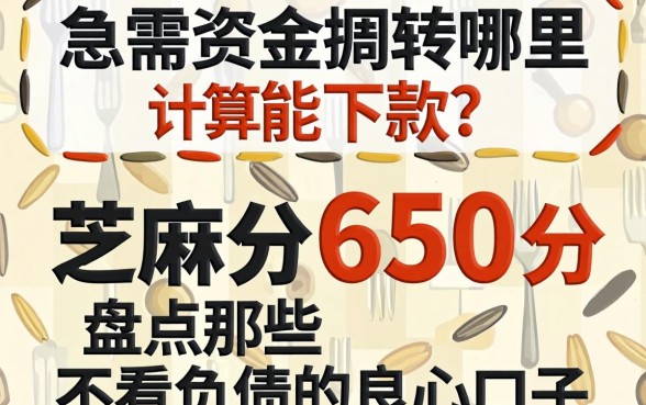 芝麻分650分算高吗？急需资金周转哪里能下款？盘点那些不看负债的良心口子