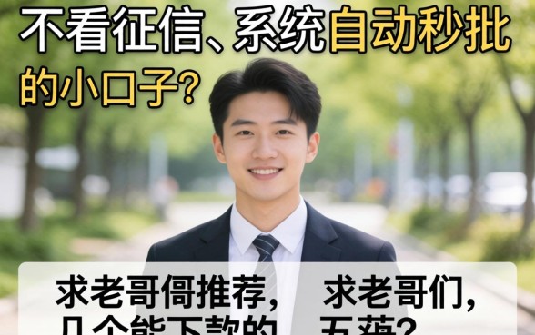 有没有那种真正不看征信、系统自动秒批的小口子?求老哥们推荐几个能下款的!