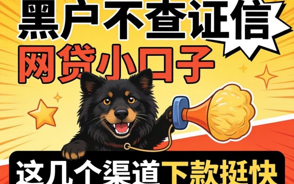 揭秘黑户不查证信的网贷小口子，这几个渠道下款挺快