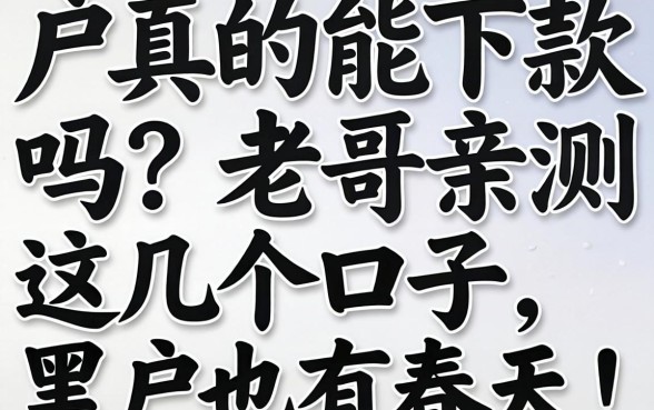 无视黑白户真的能下款吗?老哥亲测这几个口子,黑户也有春天!