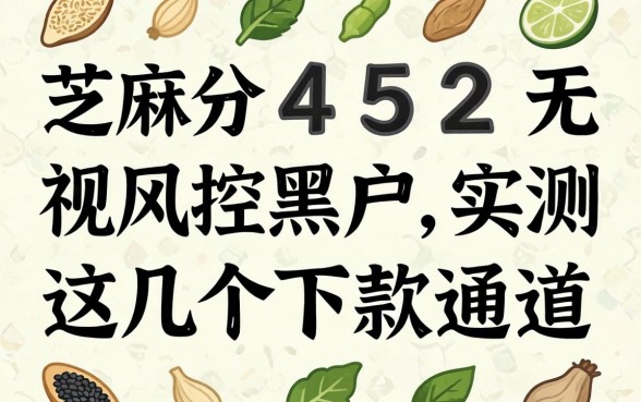 芝麻分452无视风控黑户，实测这几个下款通道